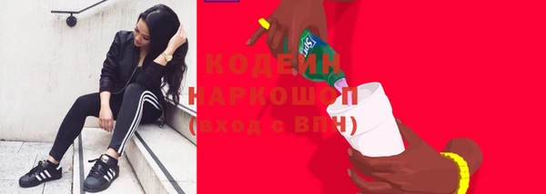 дурь Богданович