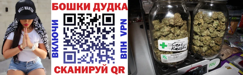 Конопля SATIVA & INDICA  Нерехта 